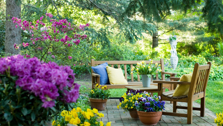 Gardening Ideas and Tools: Your Guide to Creating a Beautiful Garden