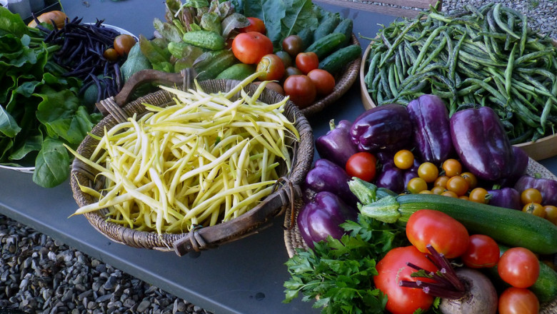 Plant-Based Diet Myths Debunked: What Science Says