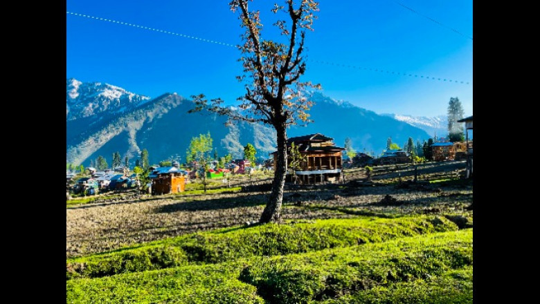 Discover Skardu with Skardu Travel and Tour: Where Every Journey Becomes a Story