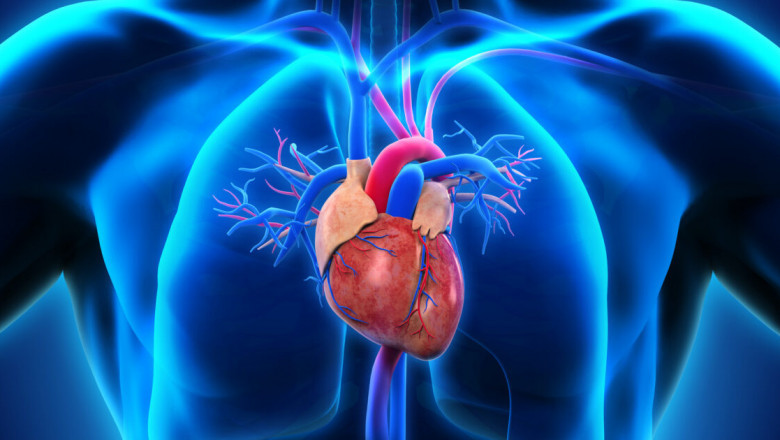 Early Signs of Heart Disease Most People Ignore