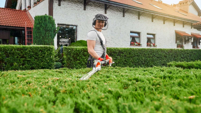 Low-Maintenance Gardening: Tips for Easy Outdoor Spaces